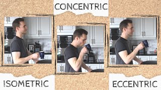 Isometric, Concentric, Eccentric | Types of Muscle Contraction Explained