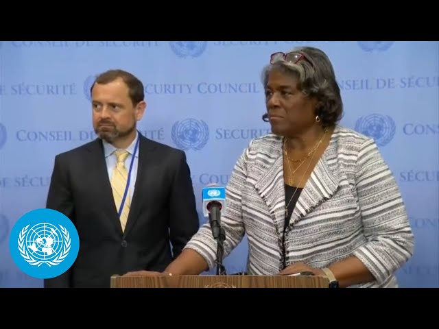 U.S. on Sudan: Media Stakeout | Security Council | United Nations