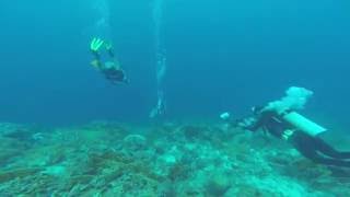 Famous Removing a Ghost Net Pt. 1 Profile