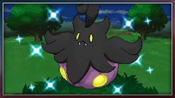 Shiny Pumpkaboo via Masuda Method!