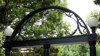 Learning Through Complexity (4:00pm)