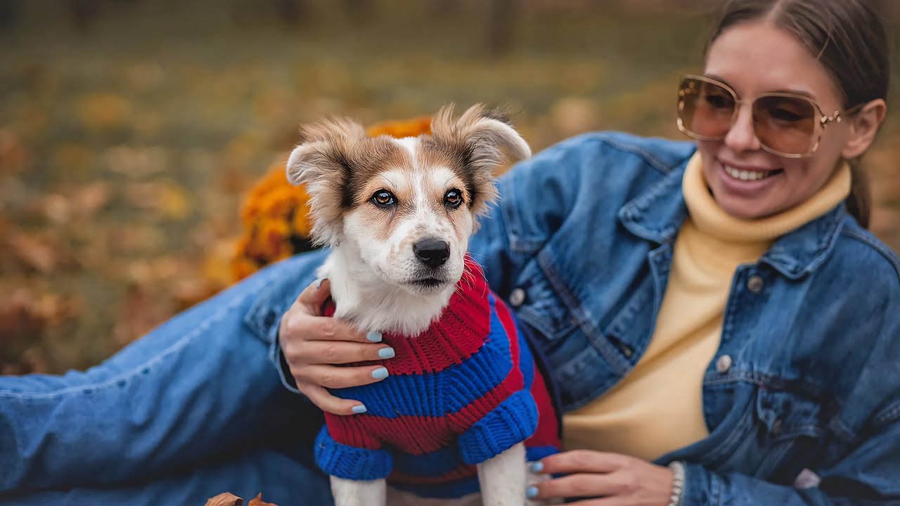 Pretty Puppy Boy has the Best Profession in This Life :)