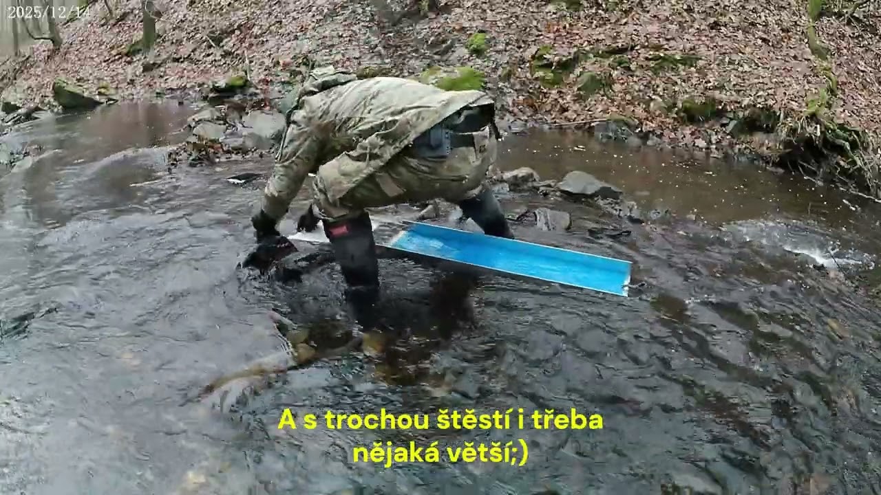 Prosincové rýžování zlata 2025