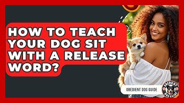 How To Teach Your Dog Sit With A Release Word? - Obedient Dog Guide