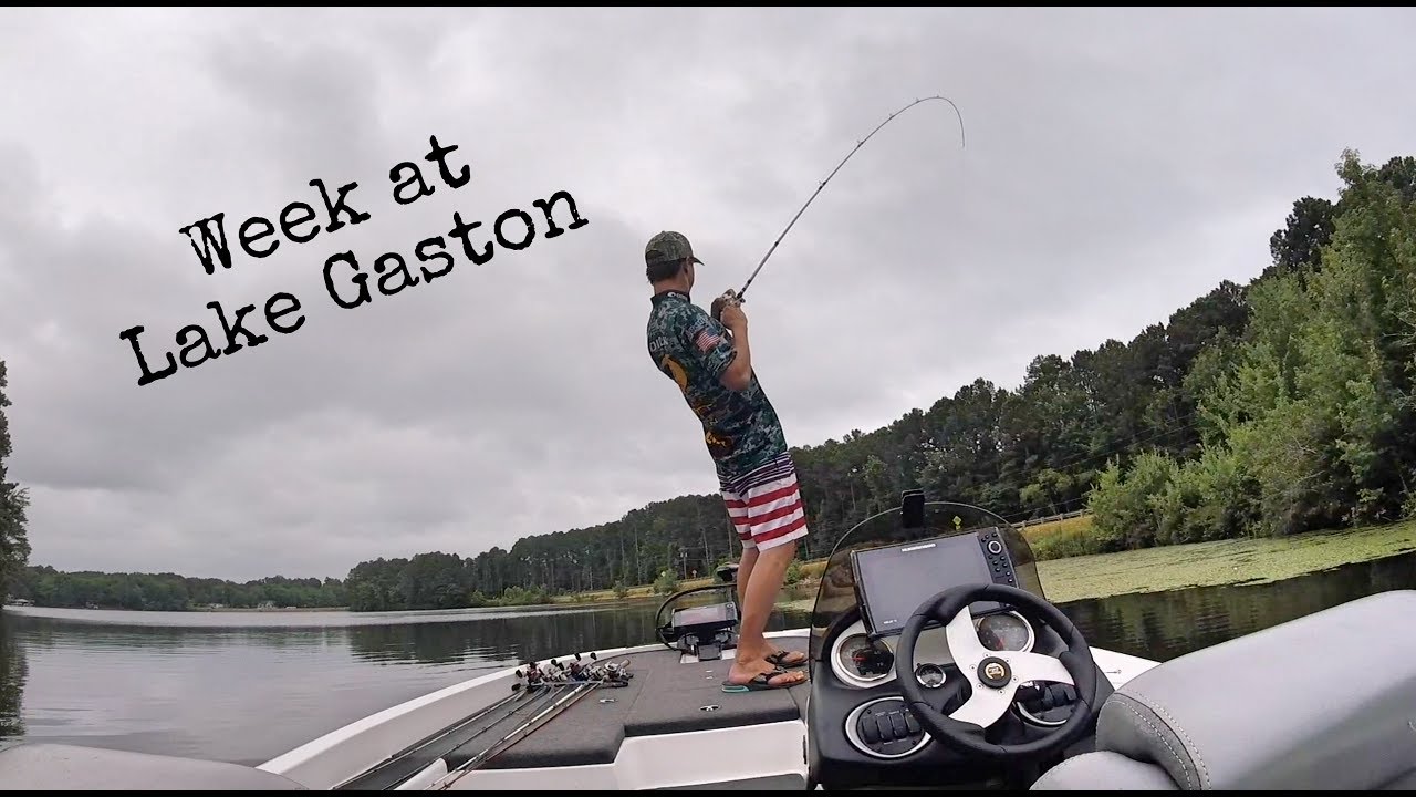 Week of July Fishing at Lake Gaston YouTube