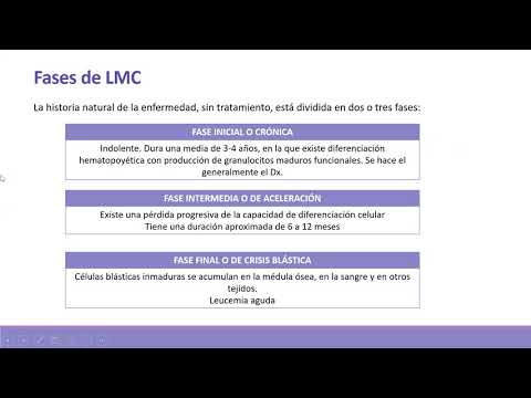 Vídeo: Direcionando CLL-1 Para Terapia De Leucemia Mielóide Aguda