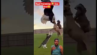 Dangerous Animal Attack &amp; What Happened Next 😨