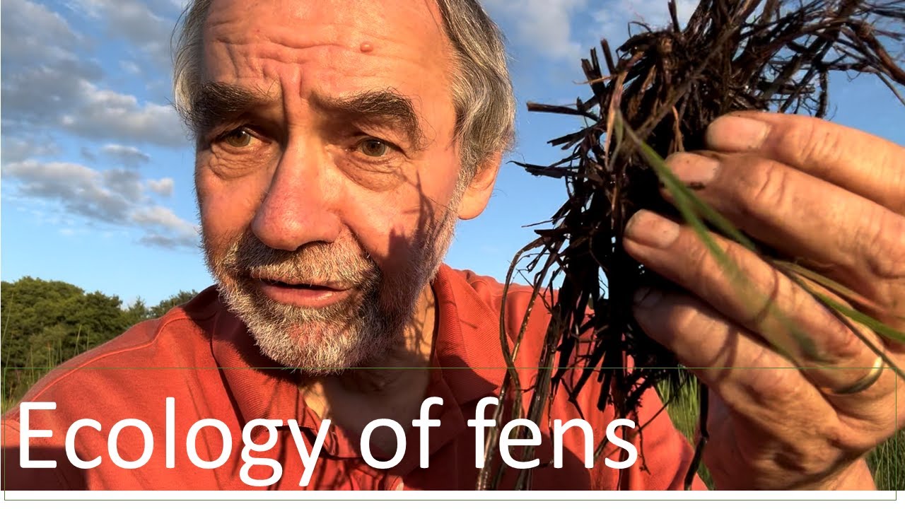 Fen ecology and management