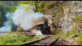 HAIDA LA MARAMU German Version #maramures #folkmusik #weltmusik #authentisch #karpaten #musik