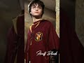 Half Bloods 🤌🔥🔥 #harrypotter #expelliarmus