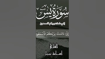 إني ءامنت بربكم فاسمعون / القارئ اسامة نبيل