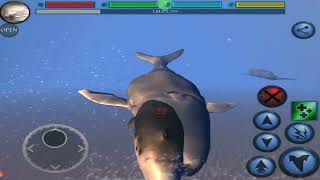 Narwhal, VS Dolphin, Octopus, Marlin, Great White Shark, Orca, Crab,  Manta Ray, Blue Whale screenshot 3