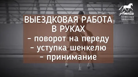 Выездковая работа в руках : поворот на переду, уступка шенкелю, принимание