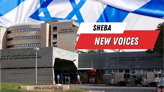 Sheba, New Voices collaboration brings volunteers to Israel