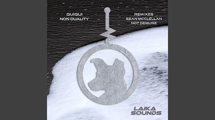 Non Duality (Sean McClellan Remix)
