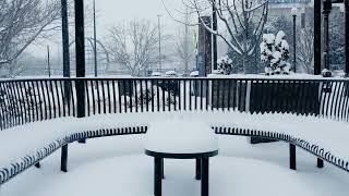 Winter Storm Gianna in Hickory, NC - Jan. 31, 2026