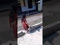 pulang ambil MBG ayra sama abi main dulu #shortvideo #ayra&family