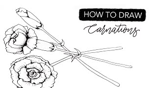 How To DRAW January’s Birth Month Flower: The Carnation