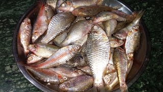 Small Fish Recipe Village Style | छोटी मछली बनाने का बहुत ही आसान तरीका। Small Pothi Fish Fry