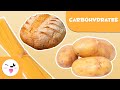 What are Carbohydrates? - Healthy Eating for Children