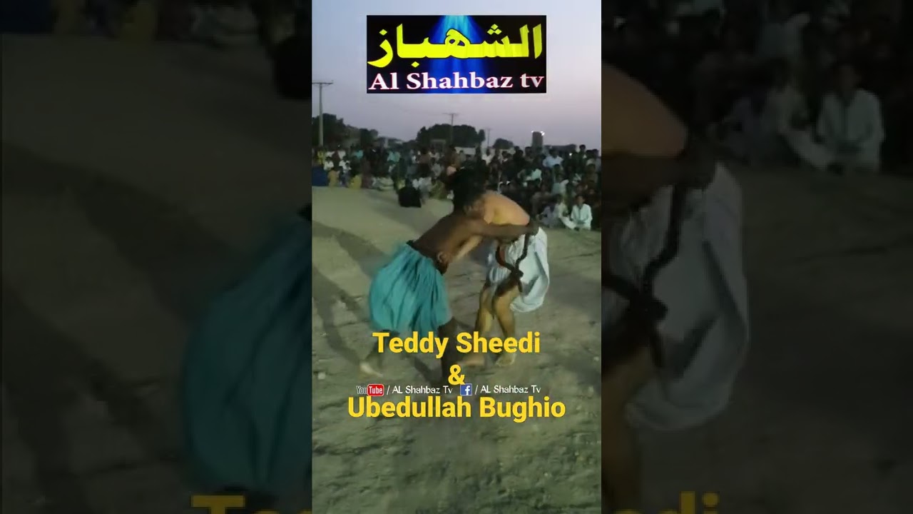 #TeddySheedimalakhro