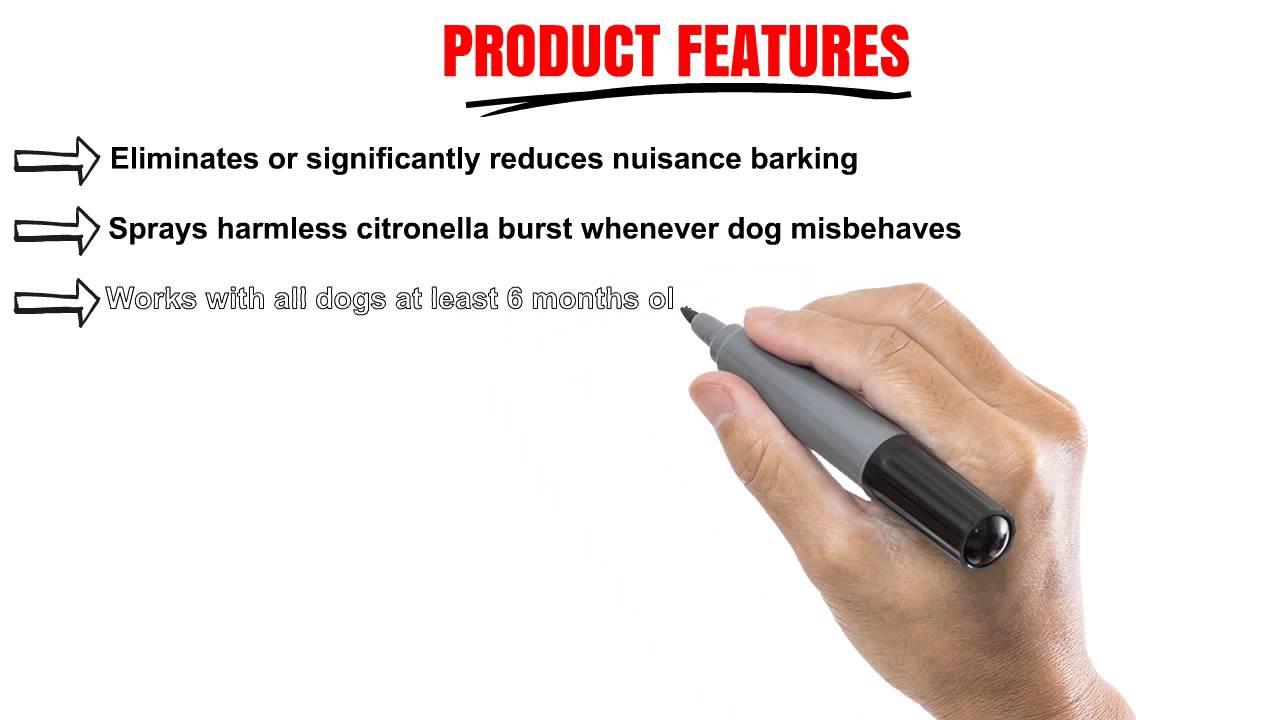 PetSafe Gentle Spray Anti Bark Collar YouTube