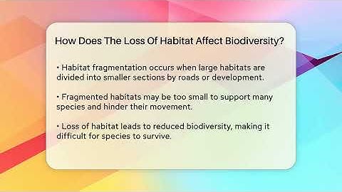 How Does The Loss Of Habitat Affect Biodiversity? - Ecosystem Essentials