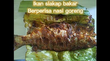 Ikan siakap bakar paling simple | pes nasi goreng adabi | #siakapBakar #palingSimple