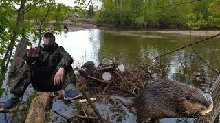 сел на Бобровое логово и обловил всех/ловля карася/рыбалка на поплавок