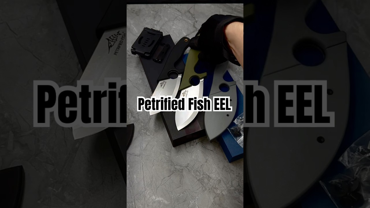 Petrified fish EEL PFH01