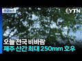[날씨] 오늘 전국 강한 비바람...제주 산간 최대 250mm 호우 / YTN