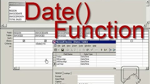 Uses of the Date() Function in Access ~ DataPig