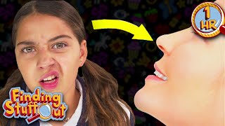Sensory Explorers | Learn About Taste, Touch, and Beyond | Full Episodes | Finding Stuff Out