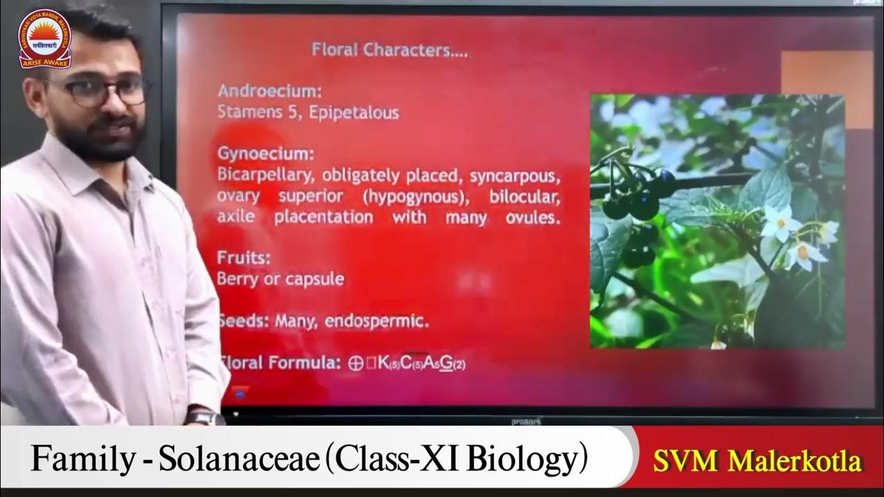 family-solanaceae-biology-class-11-by-mr-roshan-lal-svm