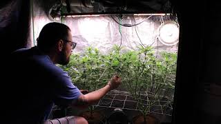 Matt's Greenspace Live Stream - New Equipment