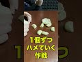 超リアルなニンニクパズルが難しすぎるwww