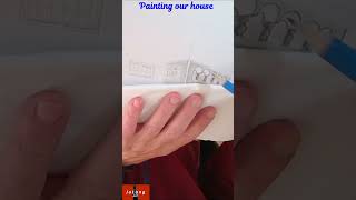 Painting the back of our house   #painting #paintingtutorial
