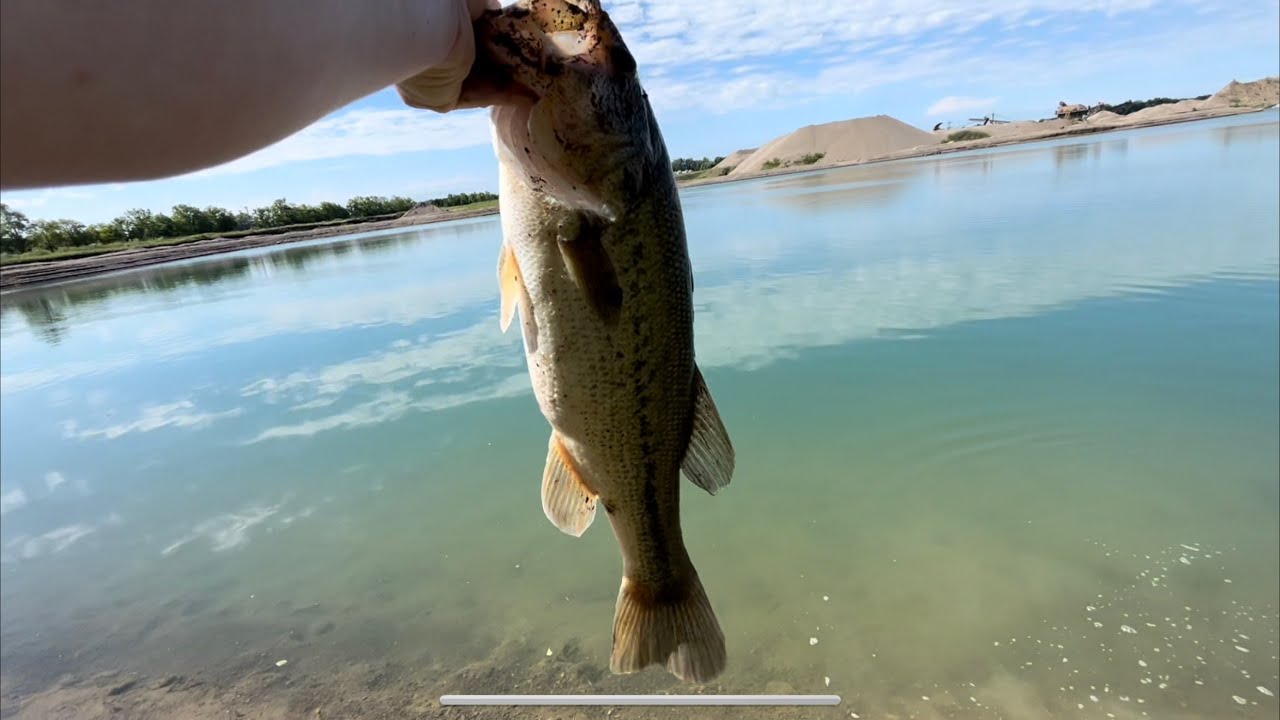 Fishing QUARRY and URBAN ponds for HUGE BASS