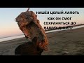 В ЗАТОПЛЕННОЙ ДЕРЕВНЕ НАШЛИ РЕДКИЕ АРТЕФАКТЫ, Я СЧАСТЛИВ. РЫБИНСКОЕ ВОДОХРАНИЛИЩЕ (часть2)