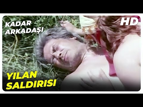 Kader Arkadaşı - Hasan'ın Karısı Zeliha, Yusuf'a Sahip Oldu! | Cüneyt Arkın Eski Türk Filmi