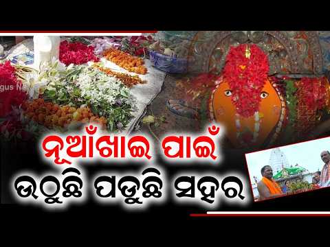 Nuakhai Special: Final Preparations & Nabanna Timings at Samaleswari Temple | Argus News