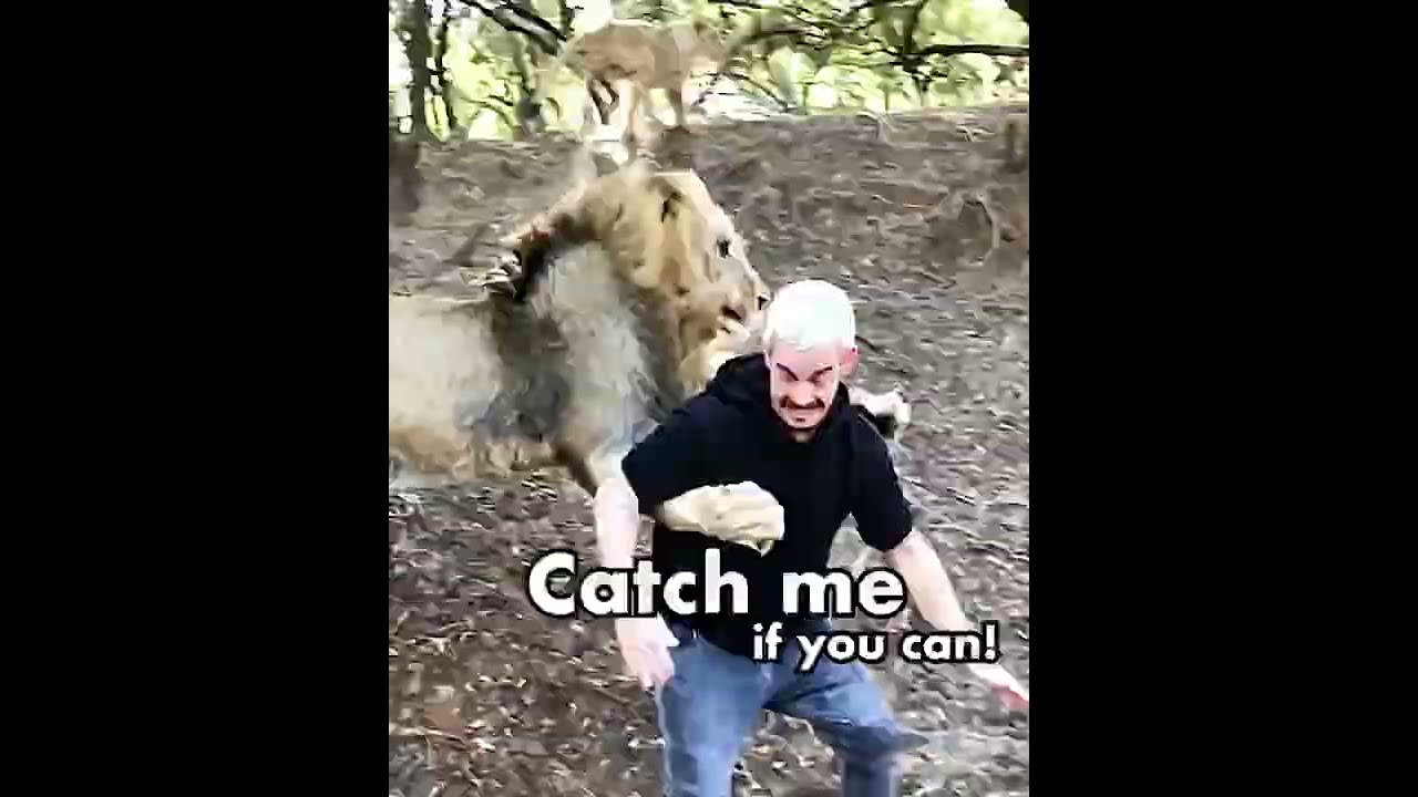 Catch of a King👑 || Dean and Dexter #Shorts auf YouTube ansehen Catch of a King👑 || Dean and Dexter #Shorts auf YouTube ansehen