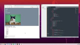 HTML Divs, Tables, Lists, Forms & more