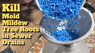 Copper Sulfate: DIY Roof Cleaner and Tree Root Killer