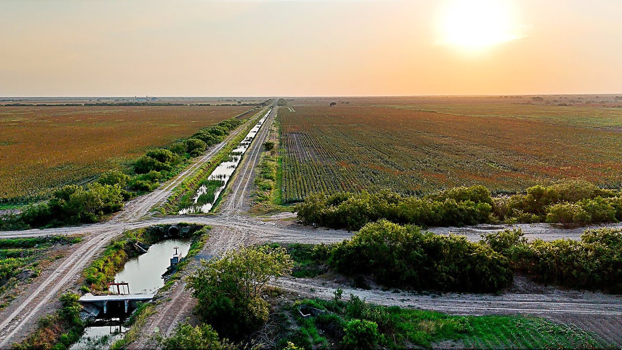 El ORO ROJO de Tamaulipas