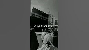 سورة النور // بصوت الشيخ ياسر الدوسري