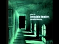 Invisible Reality - Parallel Fantasy