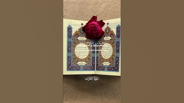 تلاوة هادئة تريح القلب #قران_كريم #قرآن #لايك #اكسبلور #explore