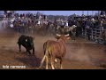 COLEADERO COMPETENCIA CON TOROS SEBUS EN EL LIENZO CHARRO EL CENTENARIO TELE CAMARAS