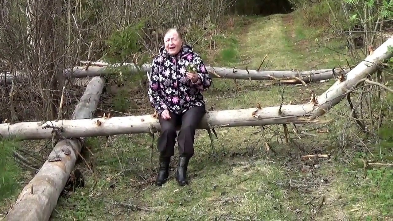У ручья с калины